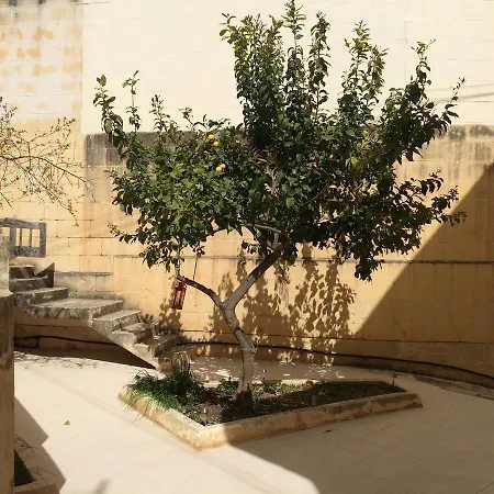 The Gardens بيت ضيافة *